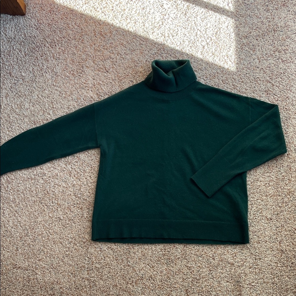 J. Crew Cashmere Oversized Turtleneck Sweater 🐢